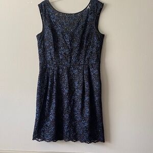White House Black Market Navy Lace Dress Size 14